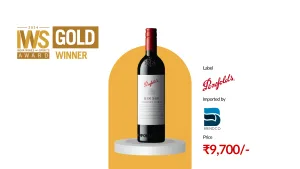 Penfolds Bin 389 Cabernet Shiraz 2019 - premium wine