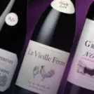 Must Try French Wines Under ₹3,000
