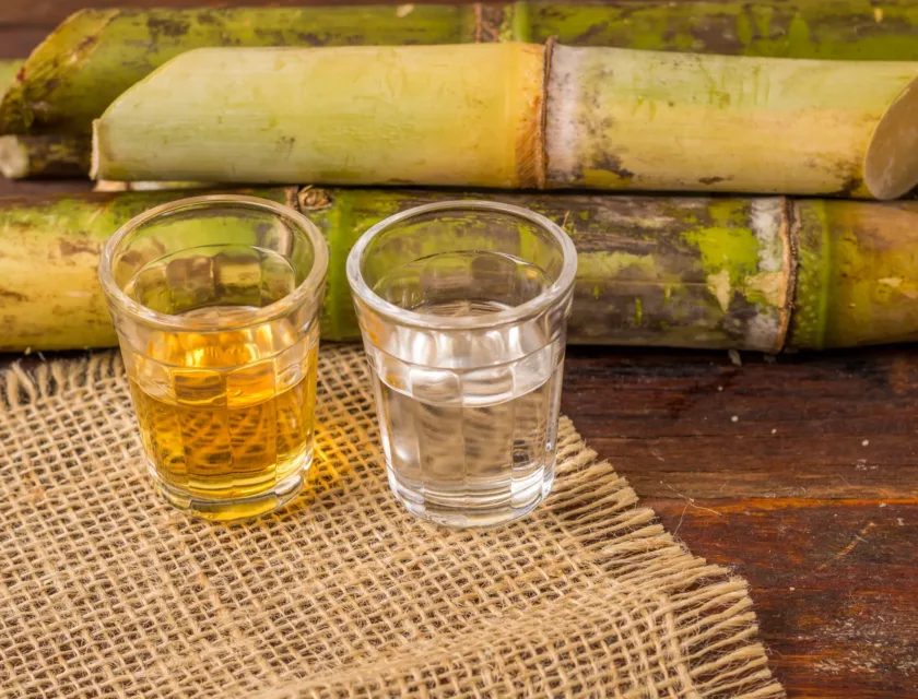 fun facts about rum